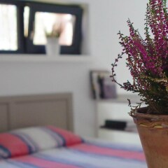 Rabarberi LV - SeaSide Village in Saulkrasti, Latvia from 124$, photos, reviews - zenhotels.com photo 29