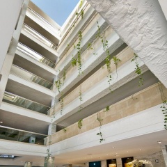 Playa Esperanza Suites - Bild 1