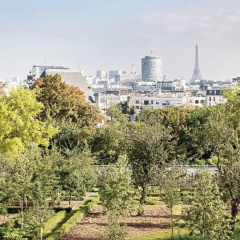 Domaine de la Reine Margot Paris-Issy - MGallery Collection - Bild 21