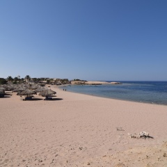 Sharm El Naga Resort and Diving Center - Bild 25