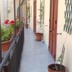 PALAVIC photo 2