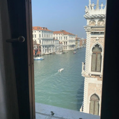 Pesaro Palace - Bild 15