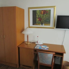 Weisser Schwan - Bild 2