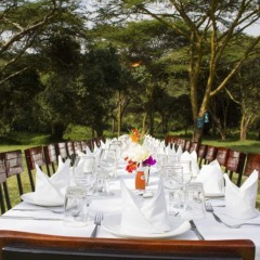 Maasai Lodge in Nairobi, Kenya from 88$, photos, reviews - zenhotels.com photo 12