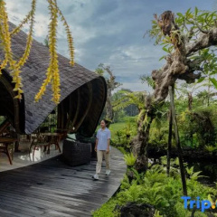 E Sanctuary Resort Ubud - Bild 1
