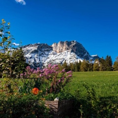 Bauernhof Vorderstiedler - Bild 4