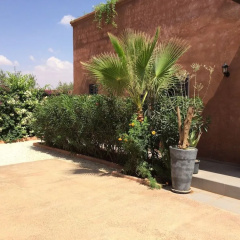 Villa Cactus - Bild 17