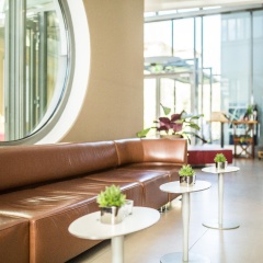 Hotel am Havelufer Potsdam - Bild 10