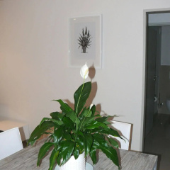 The Quadrant Apartments thumbnail 43