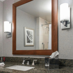 Rochester Airport Marriott thumbnail 10