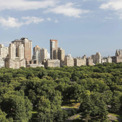 The Ritz-Carlton New York, Central Park thumbnail 27