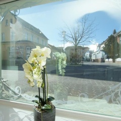 Moewennestchen - Bild 7