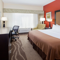 Holiday Inn Shreveport Downtown by IHG thumbnail 6