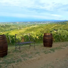 Cascina Valtignosa Camere Con Vigna thumbnail 9