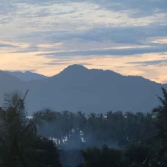 Harmoni Guest House Banyuwangi - Bild 15