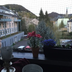 La Dolce Villa - Bild 11