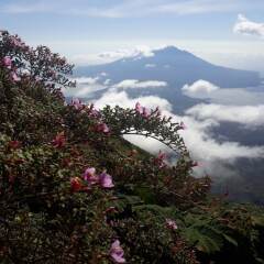 Hospedaje Bananas in Ometepe Island, Nicaragua from 121$, photos, reviews - zenhotels.com photo 50