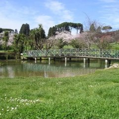 La Casa di Eva photo 2