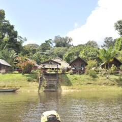 Danpaati River Lodge in Paramaribo, Suriname from 110$, photos, reviews - zenhotels.com outdoors photo 3