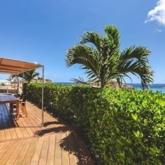 Dream Villa SBH Three Sixty in Gustavia, Saint Barthelemy from 4737$, photos, reviews - zenhotels.com photo 31