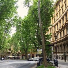 The Regency, Rome, A Tribute Portfolio Hotel - Bild 22