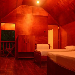 Sinharaja Forest Edge thumbnail 9