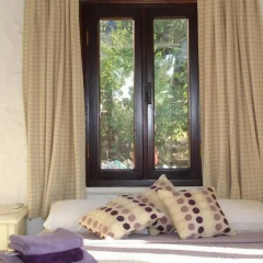Almond Tree - Bild 4