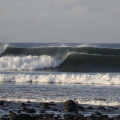 Medewi Beach Inn - Bild 17