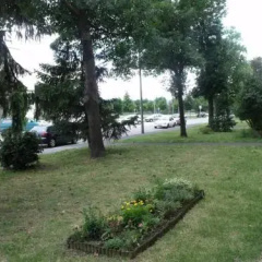 1st Floor Apartman thumbnail 8