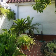 Sevilla a tus pies - Bild 2