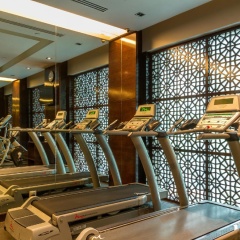 Novotel Singapore Robertson Quay Hotel - Bild 26