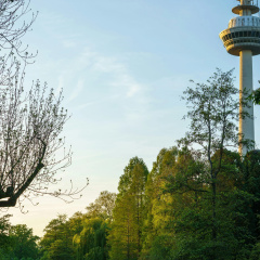 Novum Hotel Mannheim City - Bild 22