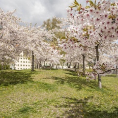 Motel L Hammarby Sjöstad - Bild 23