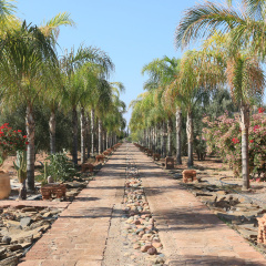 Terra Mia Marrakech - Riad - Bild 16