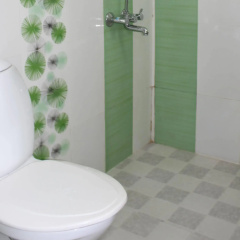 The Parrot Serviced Villa thumbnail 7