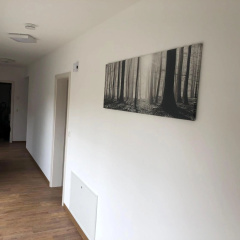 Ferienhaus-Harzbett - Bild 9