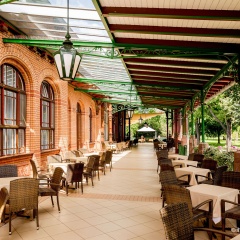 Dorint Herrenkrug Parkhotel Magdeburg - Bild 23