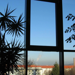 Carat - Bild 17