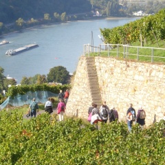 Haus Rita - Bild 3