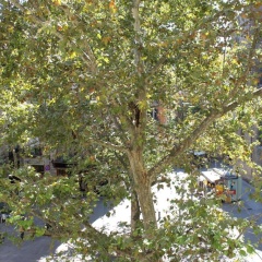 El Jardin - Bild 13