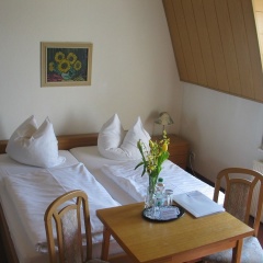 Adler - Bild 4