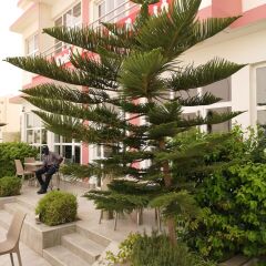 Nouakchott Hotel in Nouakchott, Mauritania from 229$, photos, reviews - zenhotels.com photo 36