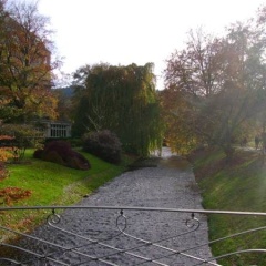 Berthold Suite - Bild 13