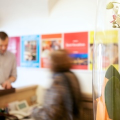 Hotel Krone 1512 - Bild 21