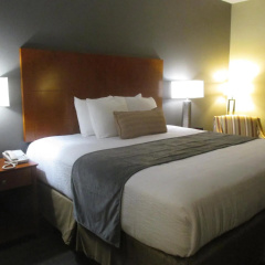 Best Western Delta Inn thumbnail 37
