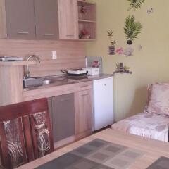 Apartmani V&F in Vrnjacka Banja, Serbia from 81$, photos, reviews - zenhotels.com photo 29