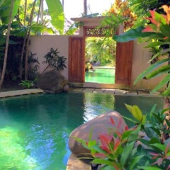 Taman Wana Ayurvedic Luxury Hotel and Villas - Bild 4