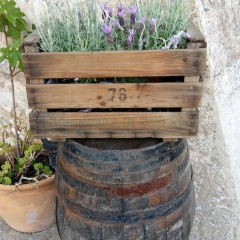 Hotel Rural S'Era Vella - Bild 19