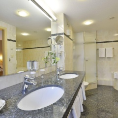Ringhotel Weißer Hirsch - Bild 8