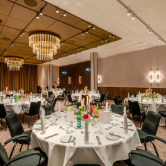 Radisson Blu Senator Hotel - Bild 20